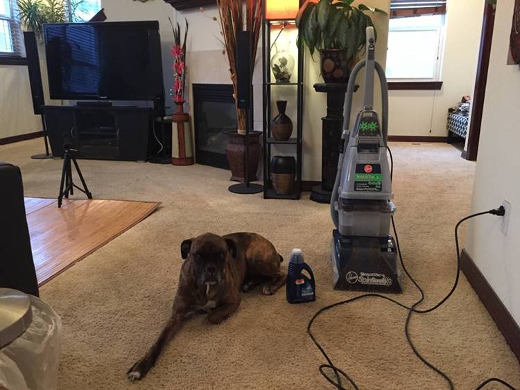 Hoover Carpet Cleaner Reviews Buying Guide 2019
