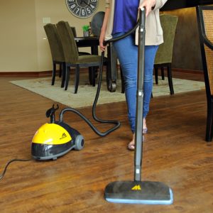 Steam Cleaner Reviews