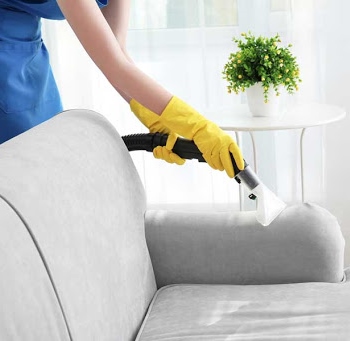 Can You Use Carpet Cleaner on Couch