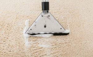 Can You Use Laundry Detergent in a Carpet Cleaner Featured