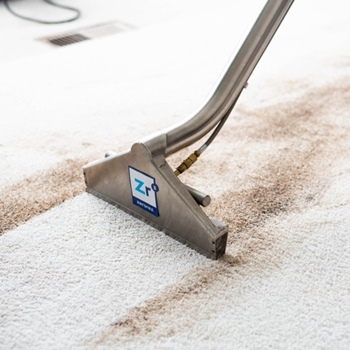 Can You Use Laundry Detergent in a Carpet Cleaner