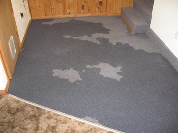 How Long for Carpet to Dry After Cleaning