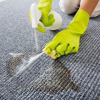 How to Deep Clean Your Carpets